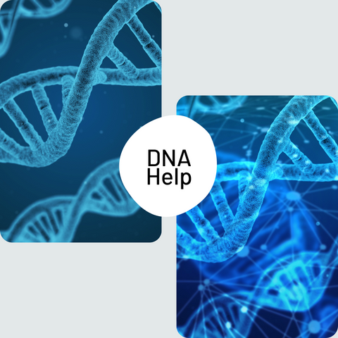 Genetic Genealogy Help (DNA) Various Packages