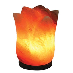 Relaxus Himalayan Salt Lamp